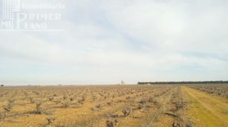 Ciudad Real - Tomelloso - 73801m2