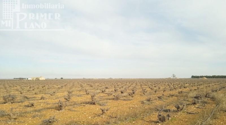 Ciudad Real - Tomelloso - 73801m2