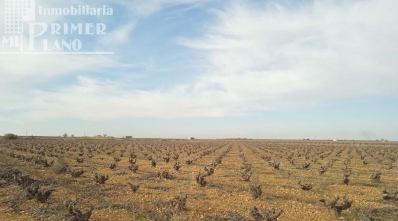 Ciudad Real - Tomelloso - 73801m2