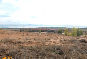 Buniel 9595&nbsp;m² 