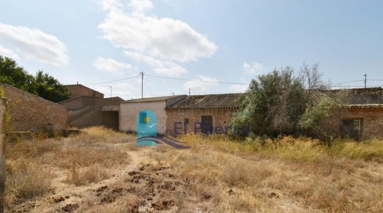 Murcia - Fuente Álamo de Murcia - 1971m2