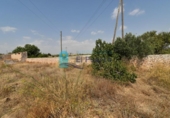 Sòl urbà en venda a la España, Fuente Álamo, ref.: TR314880 foto
