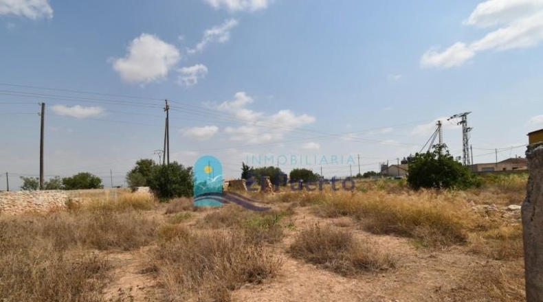 Murcia - Fuente Álamo de Murcia - 1971m2