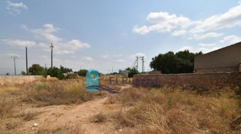Murcia - Fuente Álamo de Murcia - 1971m2