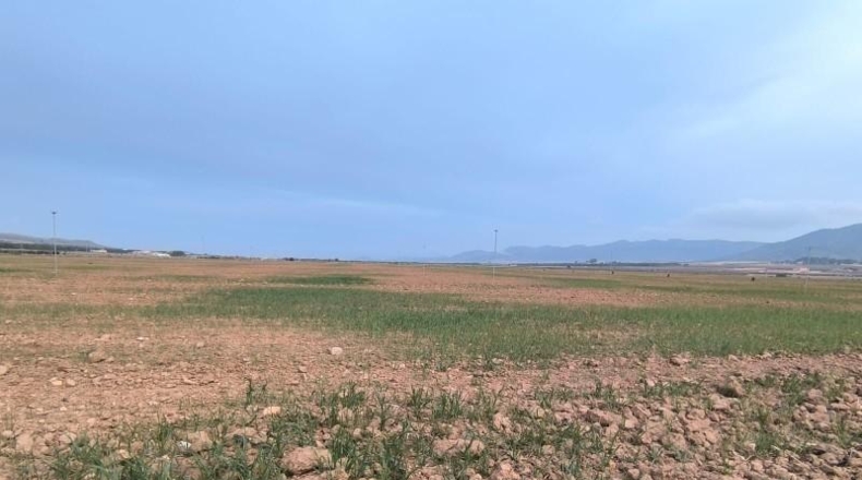 Valencia - València - 121000m2