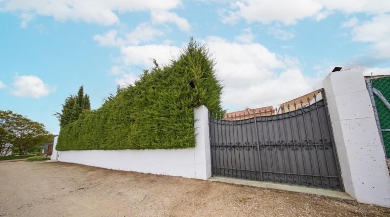 Granada - Puebla de Don Fadrique - 500m2