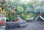 Casa de camp amb terreny en venda a la España, Icod de los Vinos, ref.: TR179001 foto