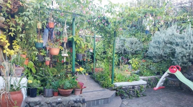 Santa Creu de Tenerife - Icod de los Vinos - 350m2