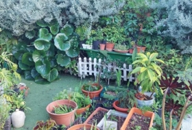 Foto 15