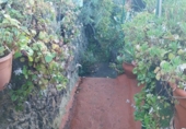 Casa de camp amb terreny en venda a la España, Icod de los Vinos, ref.: TR179001 foto