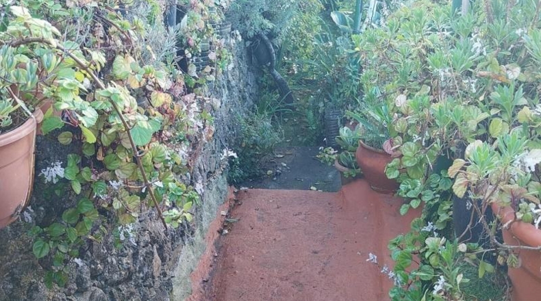 Santa Creu de Tenerife - Icod de los Vinos - 350m2