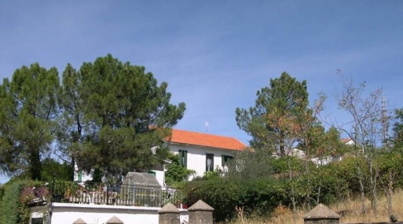 Ávila - Las Navas del Marqués - 845m2