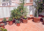 Xalet independent amb terreny en venda a la España, Benicarló, ref.: TR141908 foto