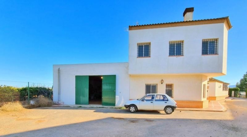 Murcia - Cartagena - 12000m2