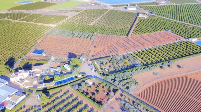 Murcia - Cartagena - 12000m2