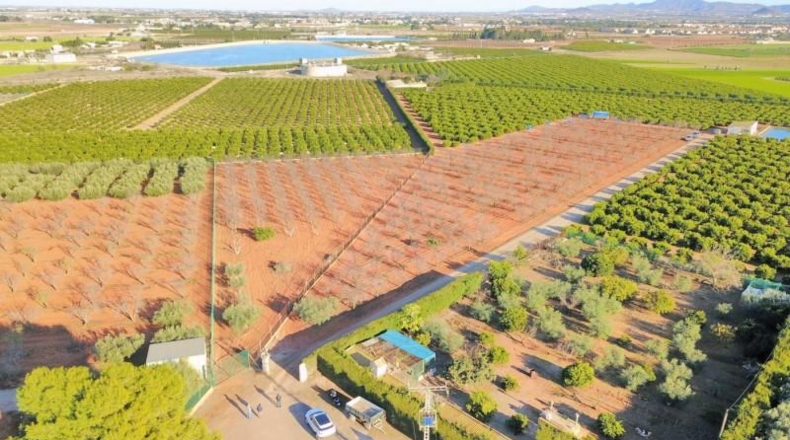 Murcia - Cartagena - 12000m2