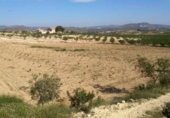 Non-developable land for sale on España, Calasparra, ref: TR119467 photo