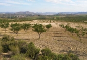Non-developable land for sale on España, Calasparra, ref: TR119467 photo