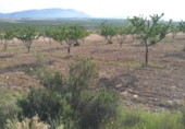Non-developable land for sale on España, Calasparra, ref: TR119467 photo