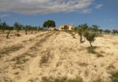 Non-developable land for sale on España, Calasparra, ref: TR119467 photo
