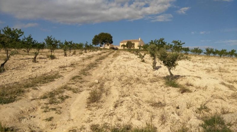 Múrcia - Calasparra - 104421m2