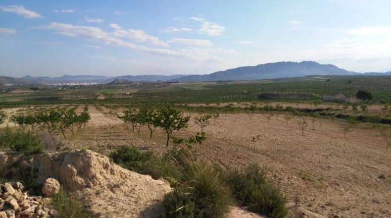 Múrcia - Calasparra - 104421m2