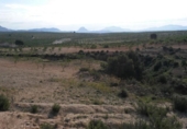 Non-developable land for sale on España, Calasparra, ref: TR119467 photo