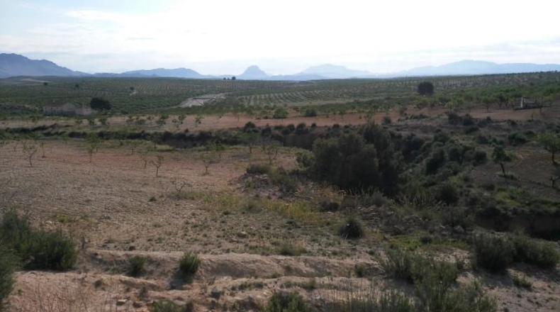 Múrcia - Calasparra - 104421m2