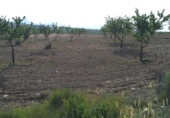 Non-developable land for sale on España, Calasparra, ref: TR119467 photo
