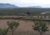 Non-developable land for sale on España, Calasparra, ref: TR119467 photo