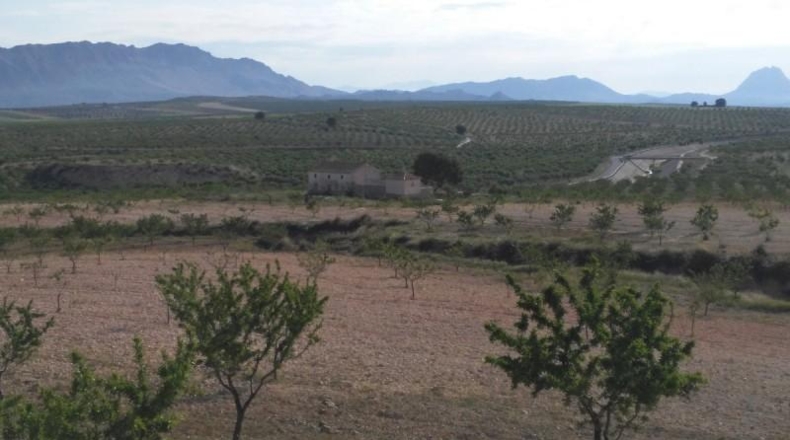 Múrcia - Calasparra - 104421m2