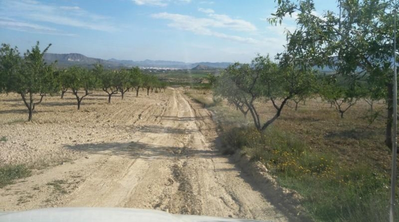 Múrcia - Calasparra - 104421m2