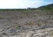 Non-developable land for sale on España, Calasparra, ref: TR119467 photo