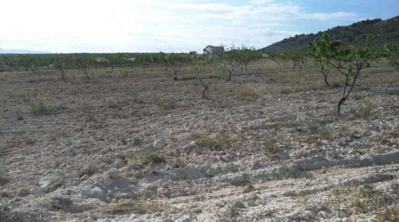 Múrcia - Calasparra - 104421m2