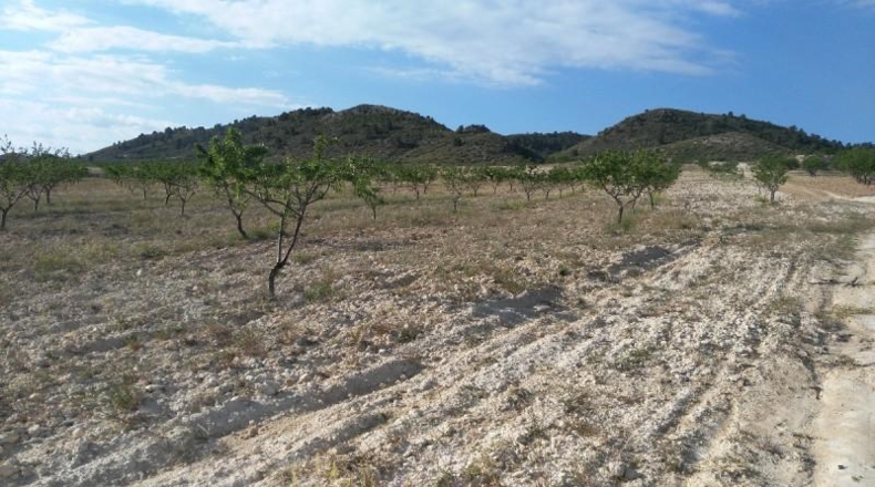 Múrcia - Calasparra - 104421m2