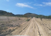 Non-developable land for sale on España, Calasparra, ref: TR119467 photo