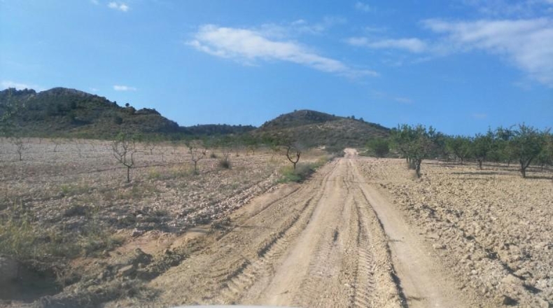 Múrcia - Calasparra - 104421m2