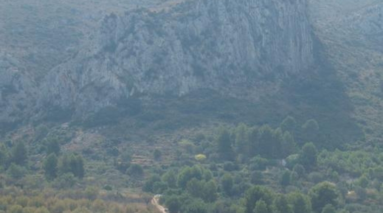 Alicante - Pedreguer - 11600m2