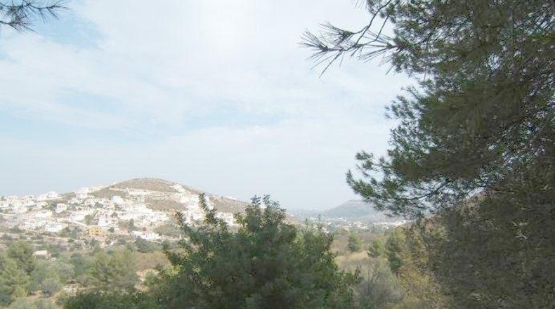 Alicante - Pedreguer - 11600m2