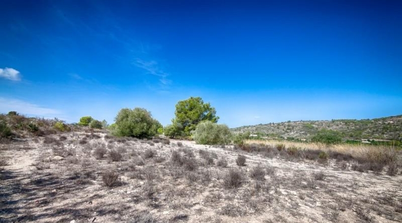 Alicante - Benisa - 17000m2