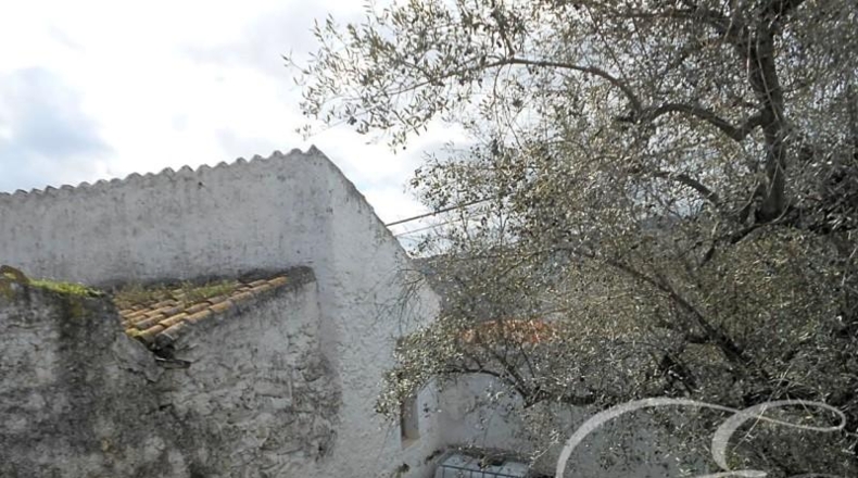 Málaga - Canillas de Aceituno - 270m2