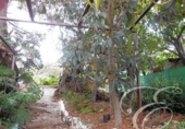 Casa de camp amb terreny en venda a la España, Canillas de Aceituno, ref.: TR132769 foto