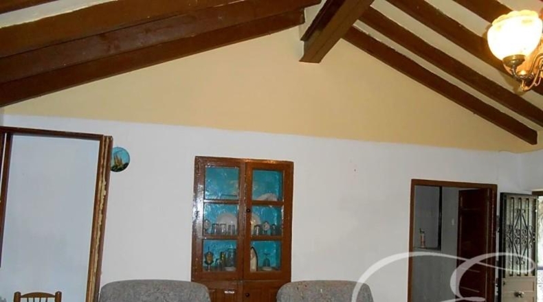 Málaga - Canillas de Aceituno - 270m2
