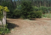Land suitable for development for sale on España, Sanxenxo, ref: TR113204 photo