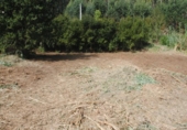Land suitable for development for sale on España, Sanxenxo, ref: TR113204 photo