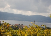 Land suitable for development for sale on España, Sanxenxo, ref: TR113204 photo