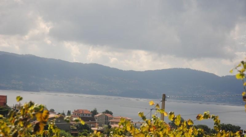Pontevedra - Sanxenxo - 1216m2