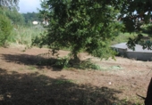 Land suitable for development for sale on España, Sanxenxo, ref: TR113204 photo