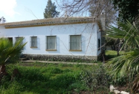 Marchena 1918&nbsp;м²