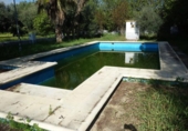 Chalet independiente con terreno en venta en la España, Marchena, ref: TR134300 foto